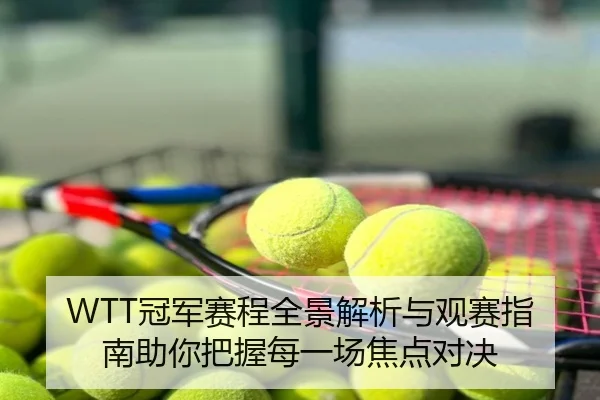 WTT冠军赛程全景解析与观赛指南助你把握每一场焦点对决